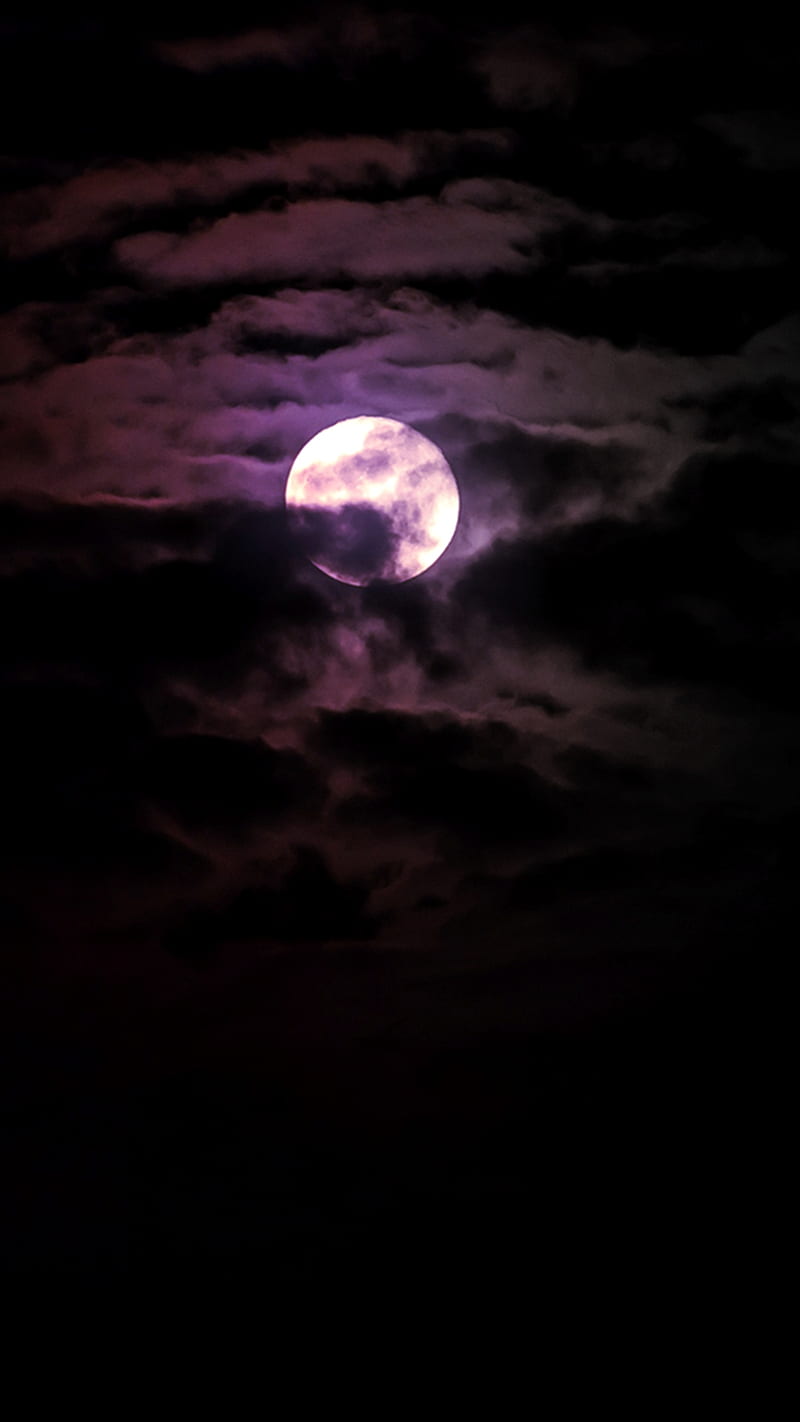 Purple Moonlight, breathtaking, moonlight, purple, HD phone wallpaper