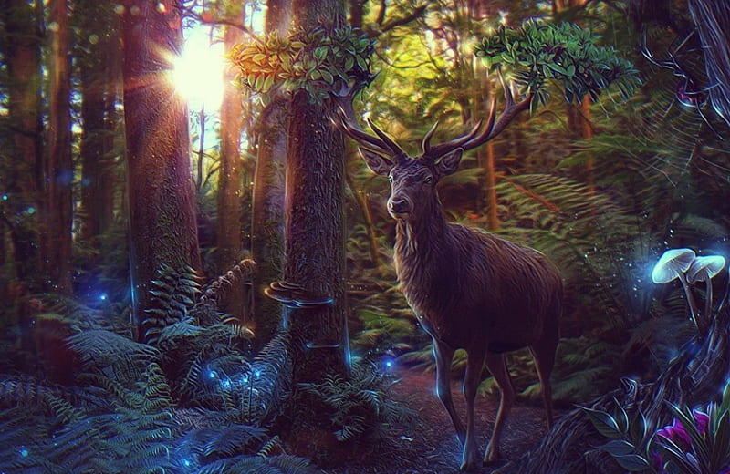 'Enchanted forest'....., mystical, forest, deer, enchanted, HD wallpaper