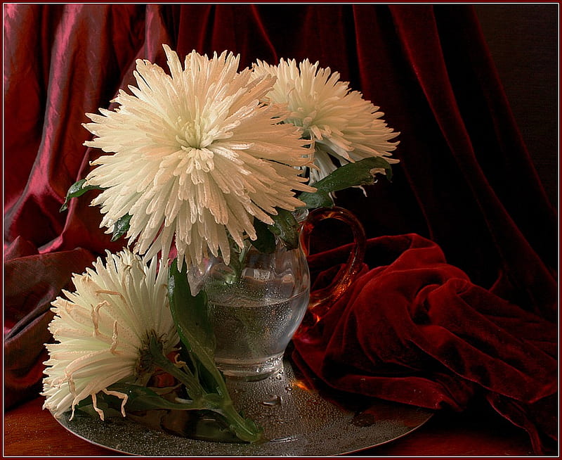 White flower in vase, vase, nature, nice, still life white flowers, HD