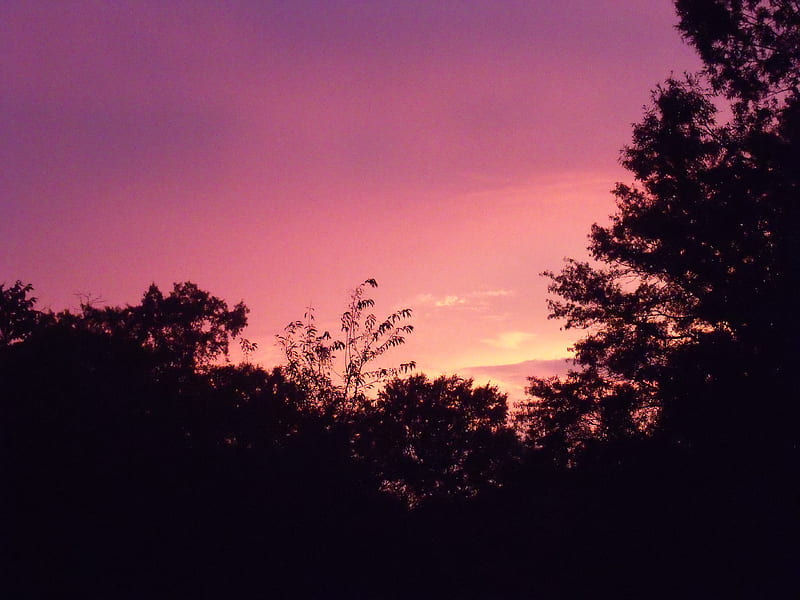 Purple sky after storm, treeline, sky, purple, virginia, HD wallpaper