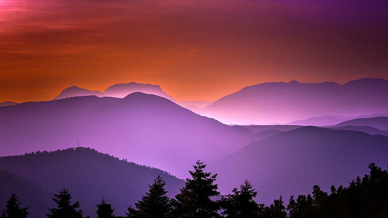 Evening in mountains, foggy, orange, bonito, sunset, fog, nice, putple, shadows, sunrise, evening, amazing, colors, silhouettes, black, pines, tree, mountains, awesome, violet, nature, HD wallpaper