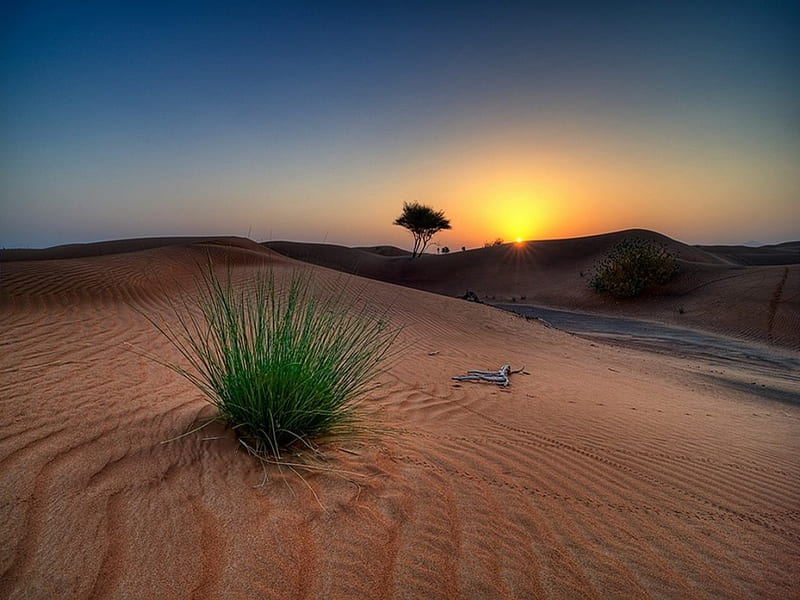 Fantastic Sunrise in Desert, Scenery, graphy, Sunrise, Deserts, Sunsets, Nature, HD wallpaper