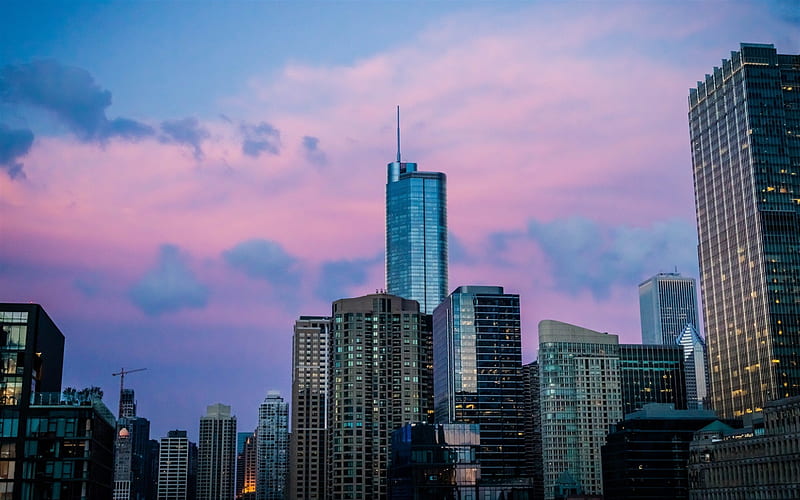 Chicago, evening, skyscrapers, sunset, big city, USA, Illinois, HD wallpaper