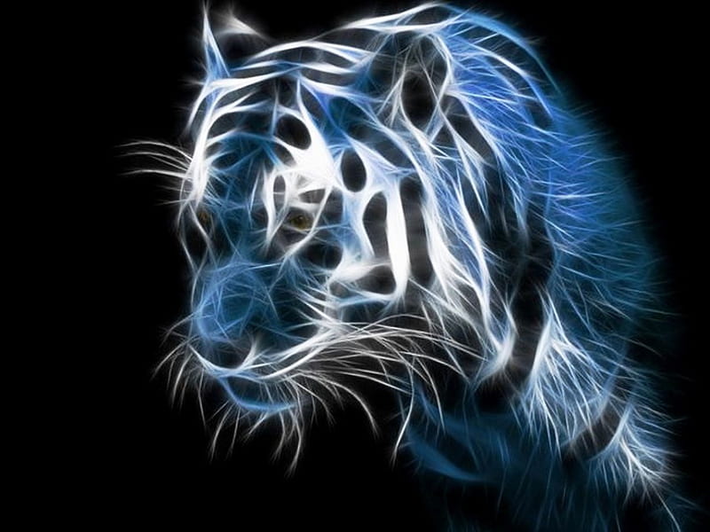 Tiger portrait, endangered, stripes, rare, wild, HD wallpaper