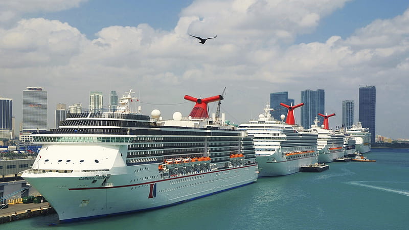 Cruise Ships High Rising Buildings And A Bird Is Flying With Cloudy Sky Background Cruise Ship, HD wallpaper