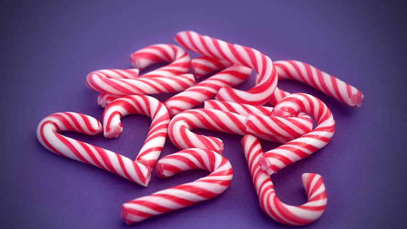 Candy Canes On Violet Floor Candy Cane, HD wallpaper