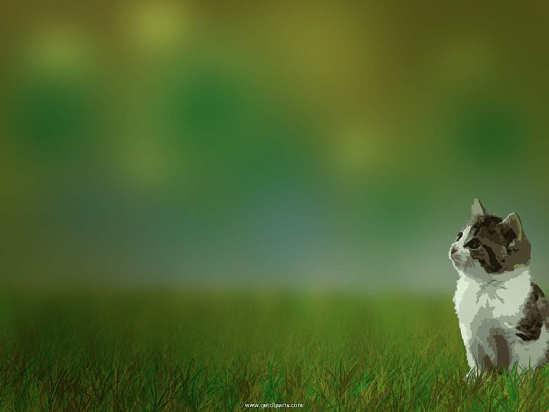 Cute Kitty, gray, green, kitty, white, cats, animals, HD wallpaper