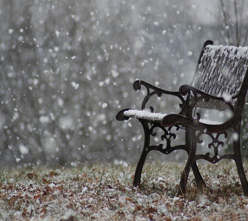 snowy bench, coming, new, nice, view, winter, HD wallpaper