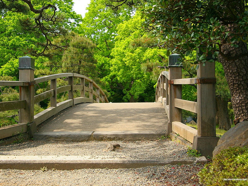 Park bridge- Japanese garden art landscape, HD wallpaper