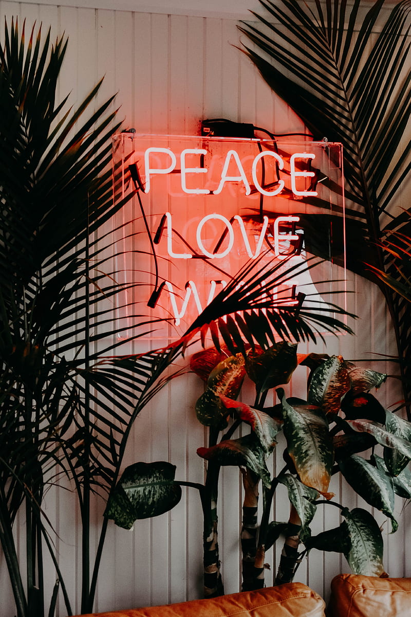 peace love neon signage near green leaf plants, HD phone wallpaper