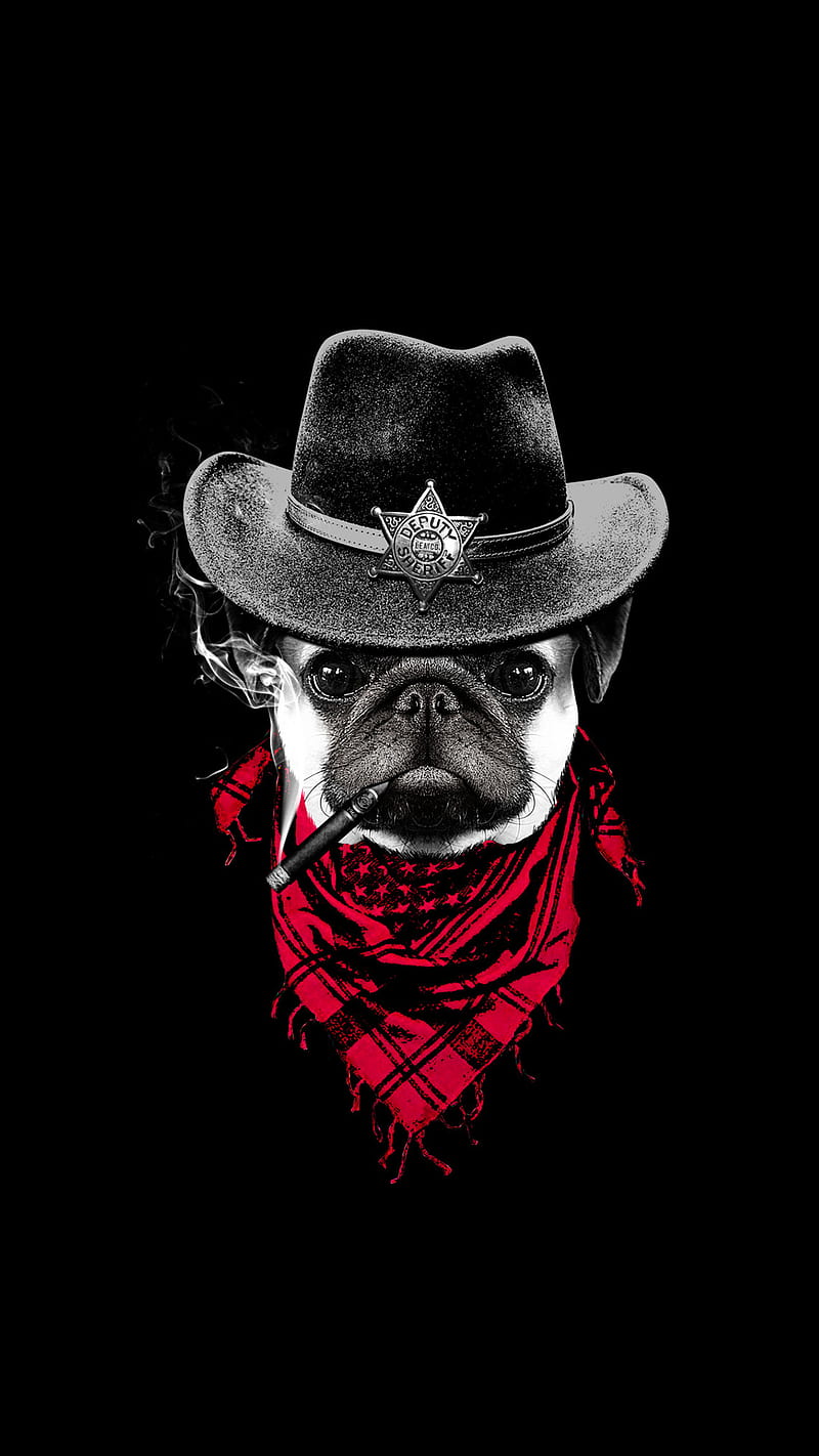 Sheriff, black, cigar, dog, fun, hat, swag, HD phone wallpaper