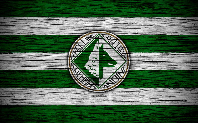 US Avellino 1912, Serie B football, wooden texture, green white lines, Italian football club, logo, emblem, Avellino, Italy, HD wallpaper