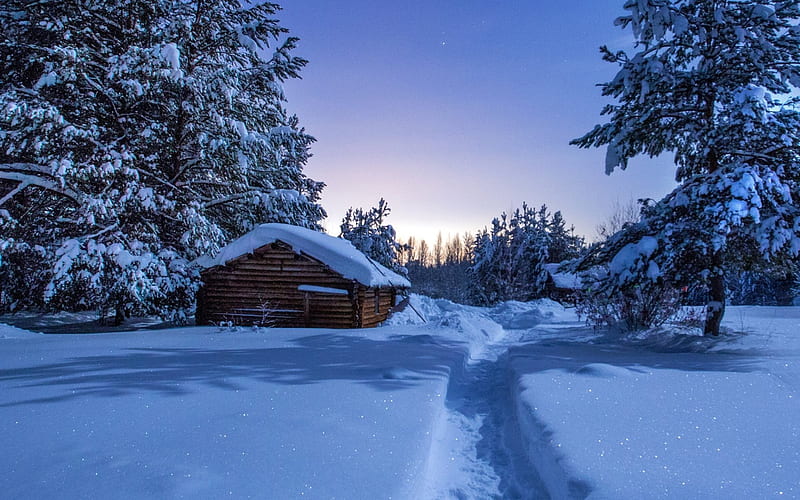 winter, forest, hut, trees, snow, morning, HD wallpaper