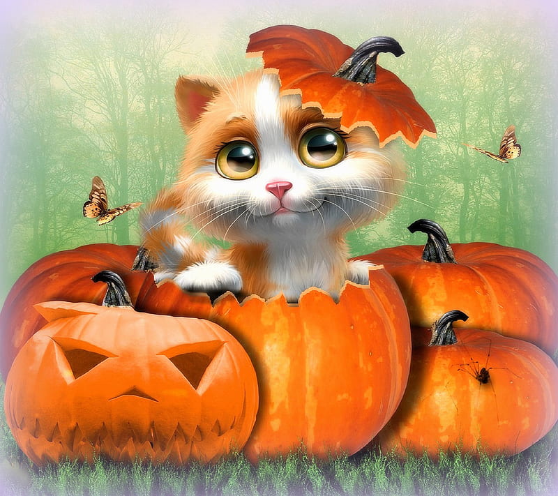 Halloween Kitty, HD wallpaper