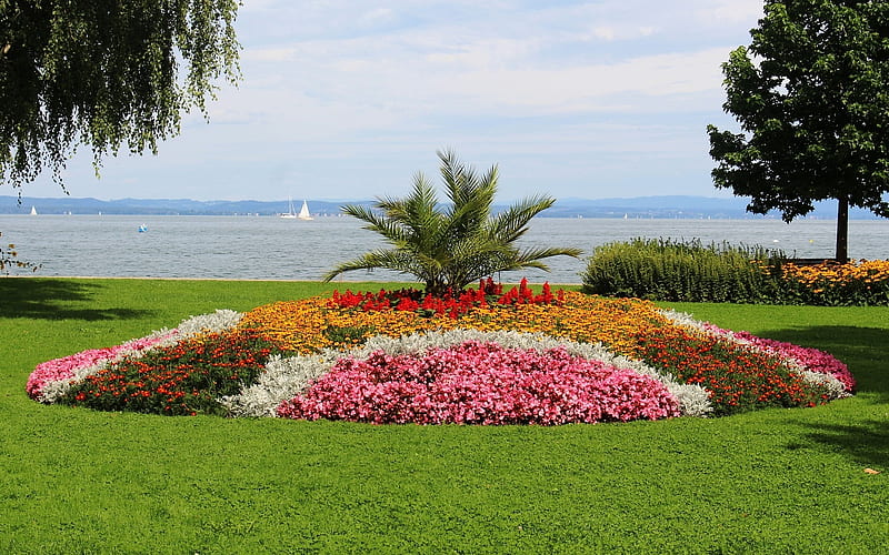 By Lake Constance, flowers, Switzerland, promenade, lake, HD wallpaper