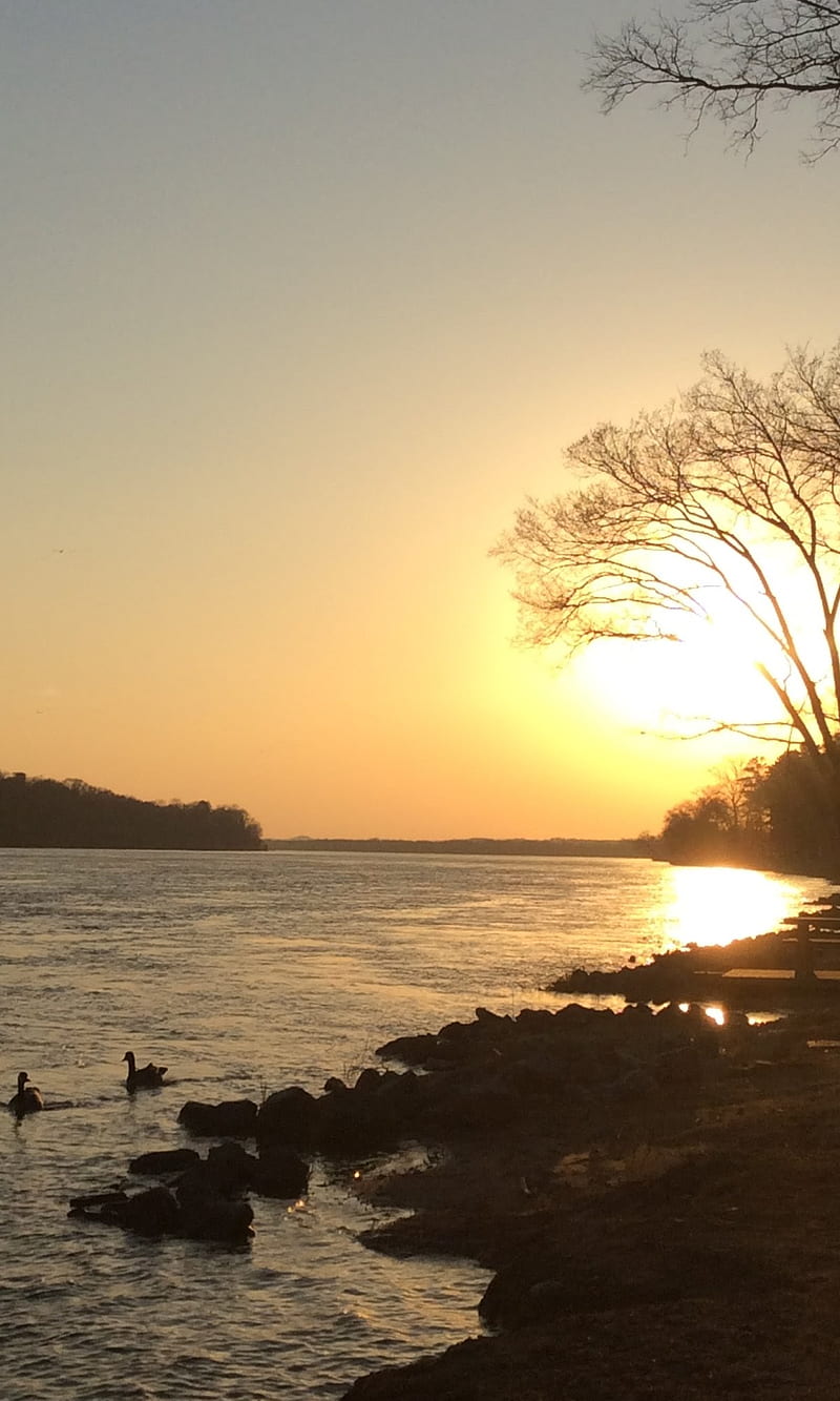 TN River Sunset, bonito, landscape, peaceful, HD phone wallpaper