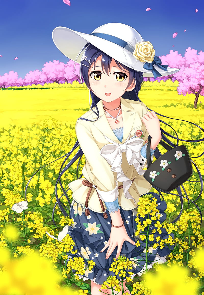 Love Live!, anime girls, Sonoda Umi, field, flowers, outdoors, hat, anime, HD phone wallpaper