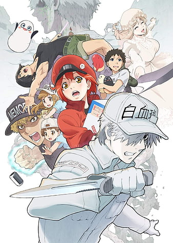 Cells at Work White Blood Cell Anime HD 4K Wallpaper #5.3021