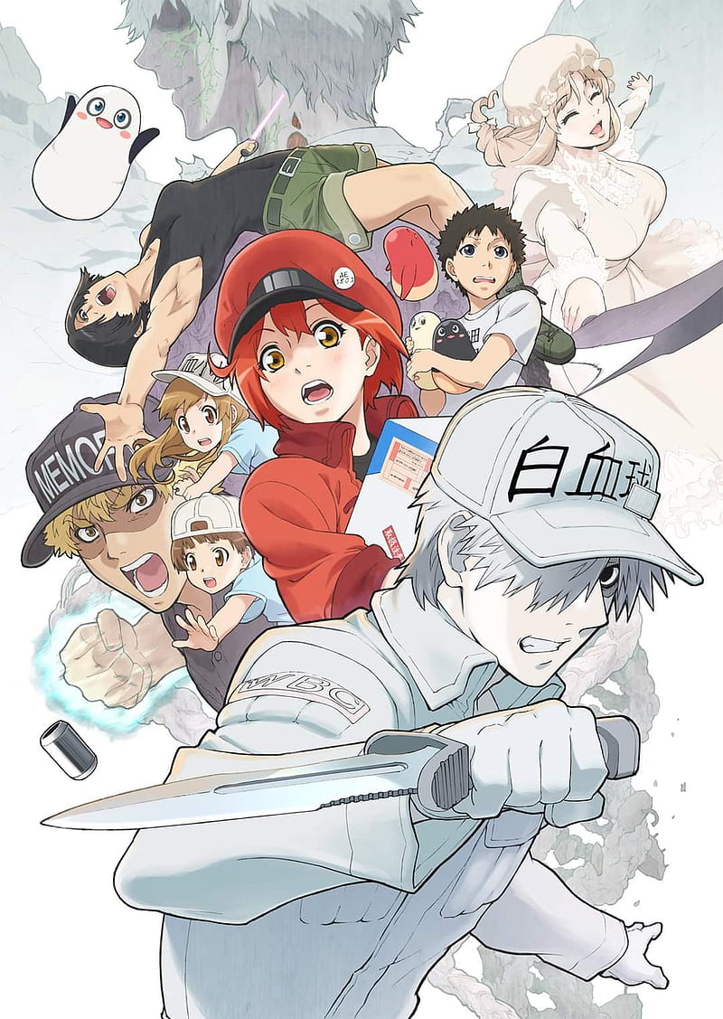 Hataraku saibou, platelet, HD phone wallpaper