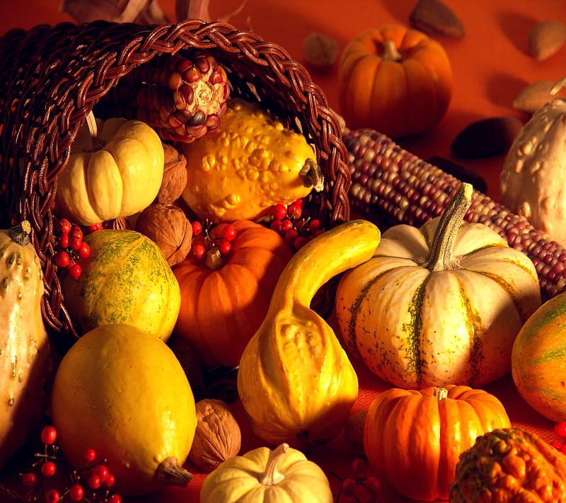 Thanksgiving, corn, food, pumpkin, vegetable, giving, HD wallpaper