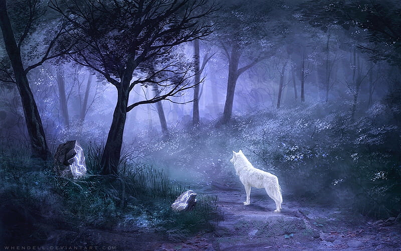 Enchanted Forest, forest, Enchanted, woods, Fantasy, trees, Digital, magical, blues, wolf, night, HD wallpaper