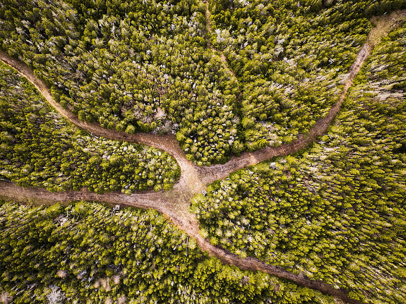 aerial graphy of intersecting roads and green trees, HD wallpaper