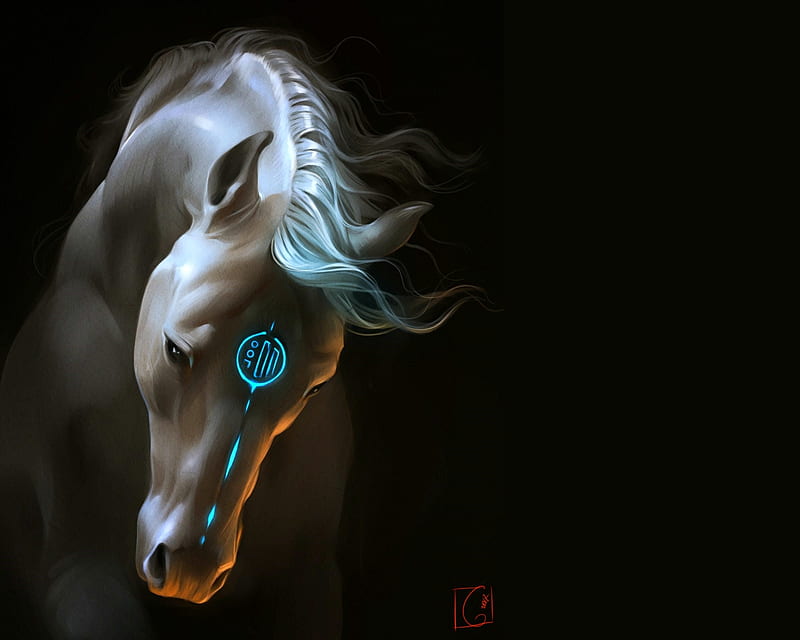 1000 Free Black Horse  Horse Images  Pixabay