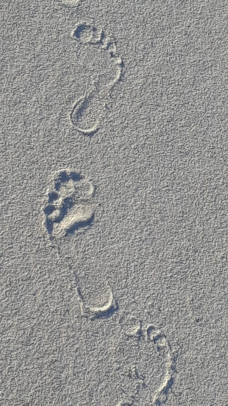 Walk Away, beach, footprints, sand, water, ocean, HD phone wallpaper