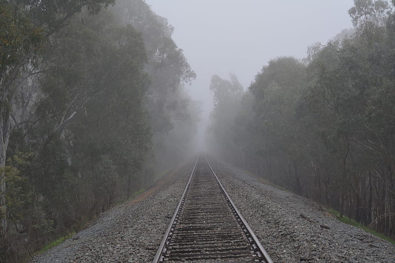 The lone walk, long, trees, traintrack, fog, mist, track, calm, spooky, walking, HD wallpaper