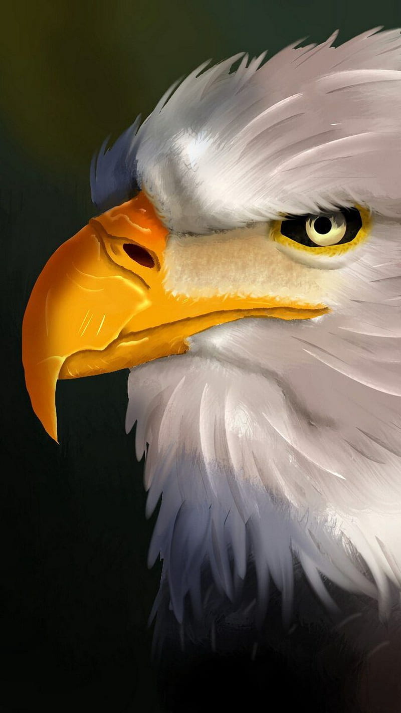 Eaggle, birds, burung, country, eagle, eagles, elang, falcon, HD phone wallpaper