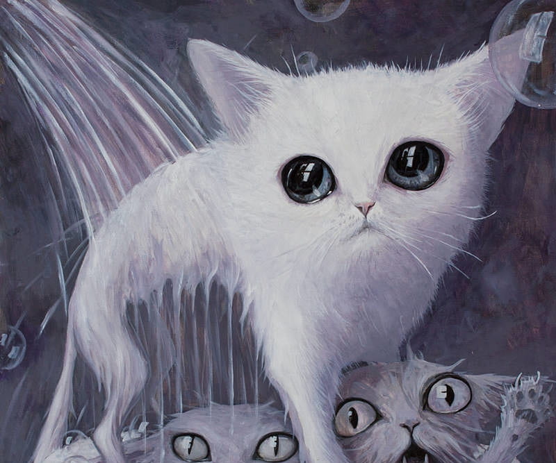 Cat's hell, water, luminos, borda, bath, white, kitten, cat, art, fantasy, pisici, HD wallpaper