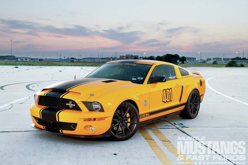 Muscle Mustang's Top 10 Ford Mustangs in America for 2013, Yellow, Black Stripe, Snake, 2007, HD wallpaper