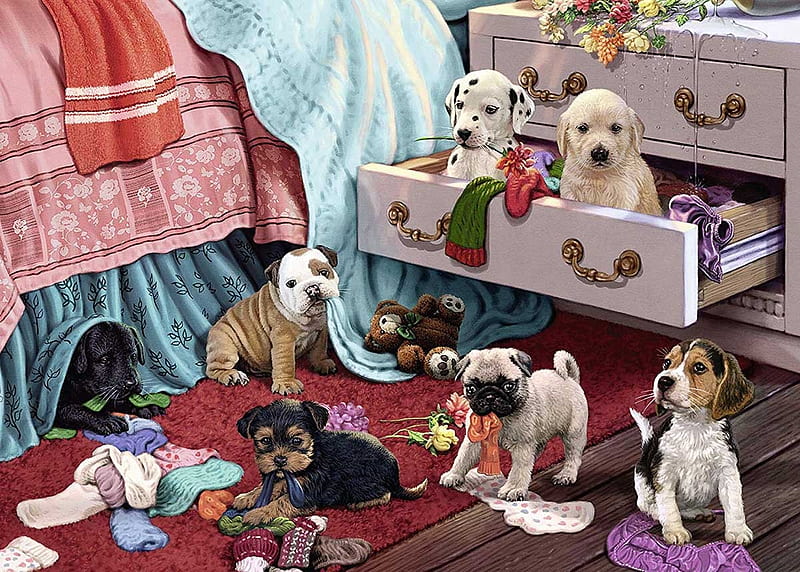 Mischieves Pups, jigsaw, bedroom, drawer, dog, puzzle, HD wallpaper