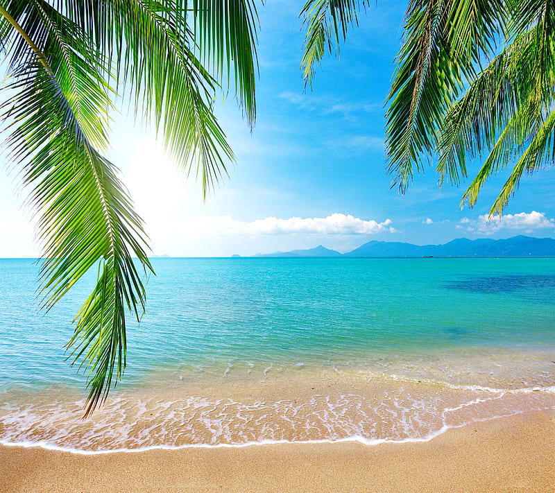 Tropical Beach, emerald, ocean, palm, sand, sea, HD wallpaper
