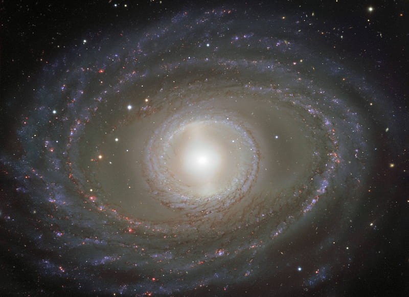 Ribbons and Pearls of Spiral Galaxy NGC 1398, stars, cool, space, fun, galaxies, HD wallpaper