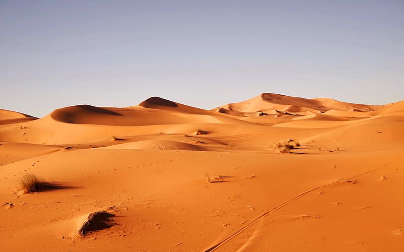 Africa Drought Extreme heat Sahara Desert, HD wallpaper
