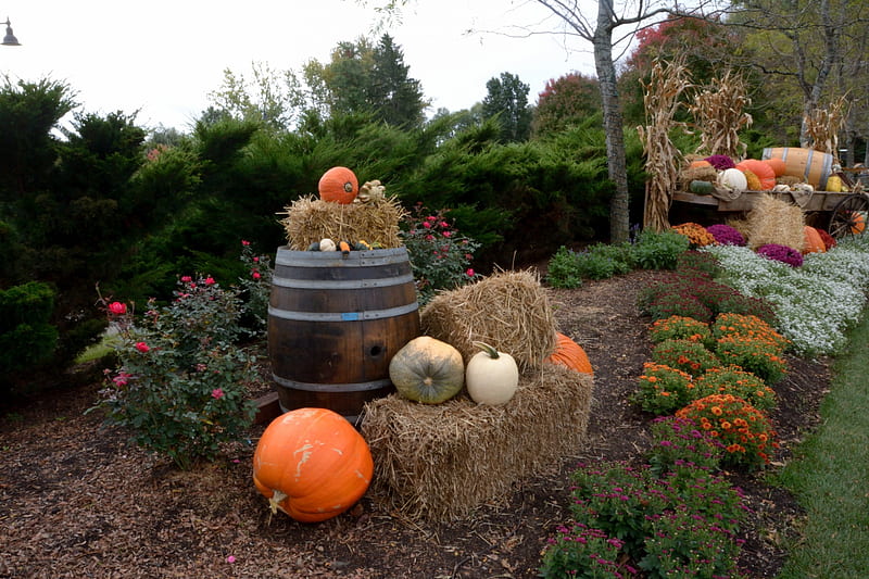 Autumn Decor, harvest decor, pumpkin, pretty decor, hay, autumn scene, HD wallpaper