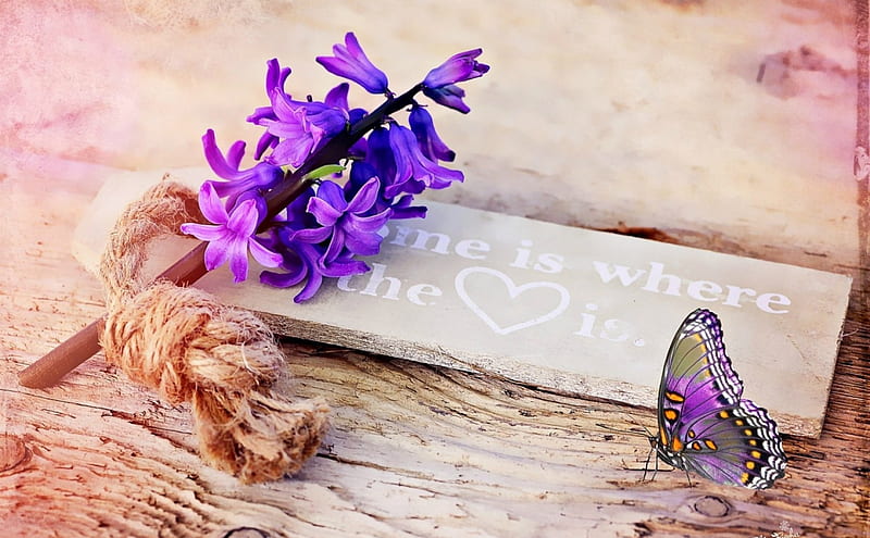 Home is where the Heart is, hyacinth, home, spring, card, butterfly, purple, heart, flower, insect, white, pink, wood, HD wallpaper