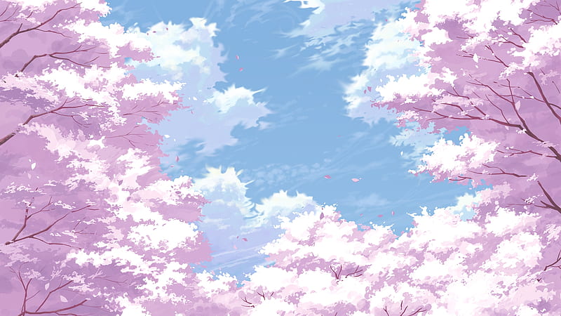 sakura blossom, petals, scenery, sky, cherry, Anime, HD wallpaper
