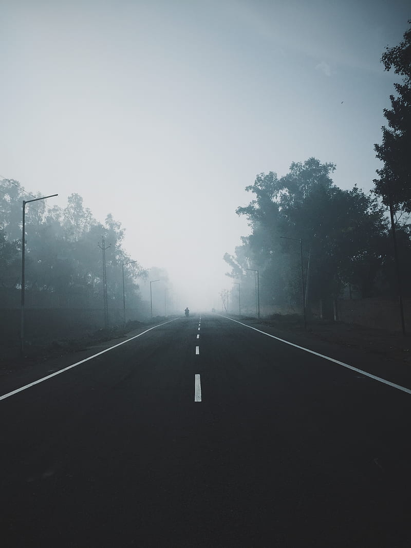 fog, road, trees, markup, horizon, HD phone wallpaper