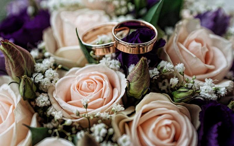 Wedding rings gold rings on roses, wedding concepts, bouquet of roses, wedding background, purple roses, HD wallpaper