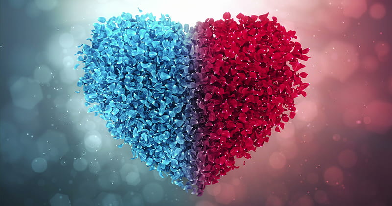 Happy Valentine's Day!, red, heart, petals, valentine, blue, card, HD wallpaper