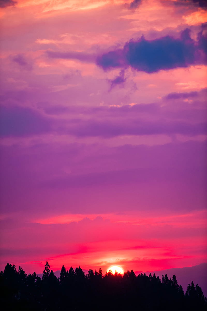 sun, sunset, sky, trees, HD phone wallpaper
