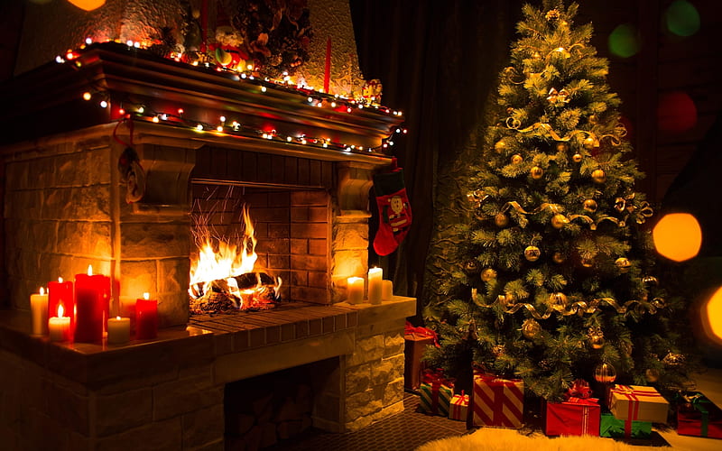 Cosy Christmas, Lights, Pine, Tree, Cosy, Fire, Christmas, Winter, Fireplace,  HD wallpaper | Peakpx