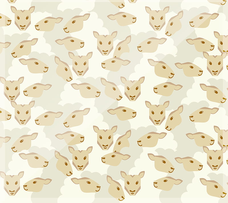 Sheeple, lion, lamb, sheep, weather, spring, rain, HD wallpaper