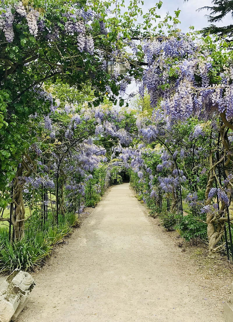 English Garden, English Flower Garden, HD phone wallpaper