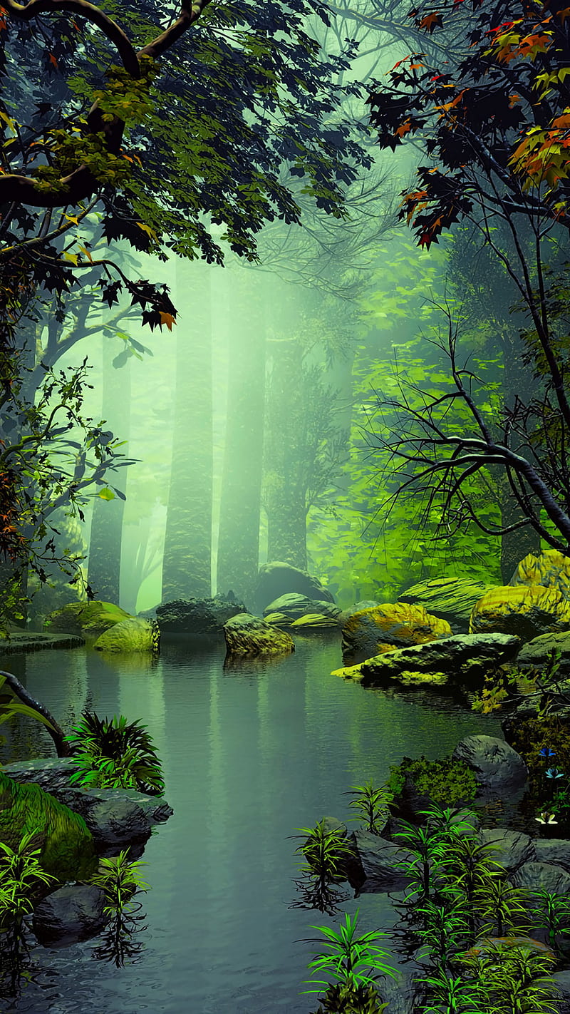 Lago, naturaleza, rayos de sol, bosque, verde, Fondo de pantalla de  teléfono HD | Peakpx