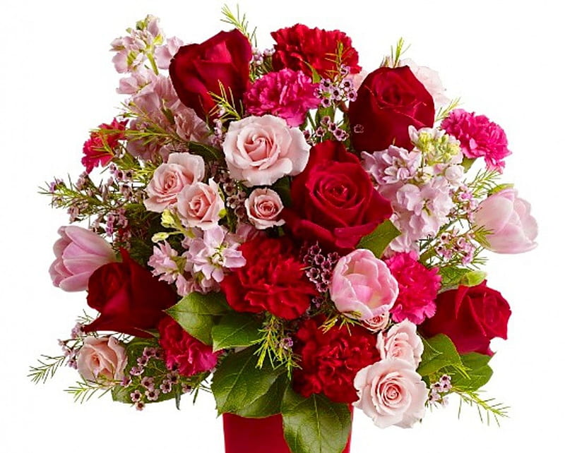 Special bouquet, red, special, colors, bonito, roses, gift, carnations, shades, bouquet, flowers, beauty, nature, tulips, pink, HD wallpaper