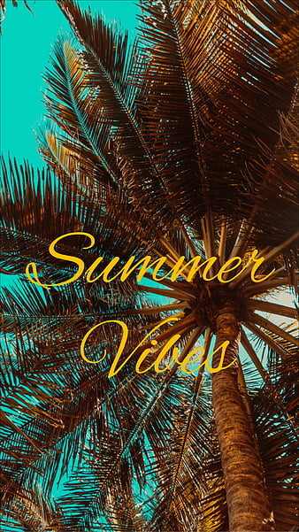 summer, vibes, palm, mood, HD phone wallpaper