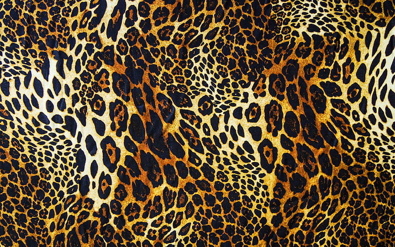 leopard skin texture, macro, brown blots texture, leopard skin, leopard background, leopard wool, leopard leather background, HD wallpaper
